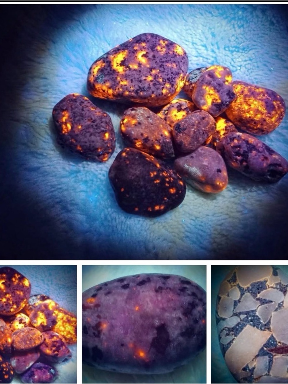 Lake Michigan Great Lakes Pallet. Yooperlites, fossils, agates, hag stone.